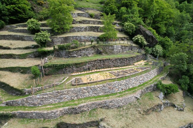 Gemüsegarten der Vielfalt